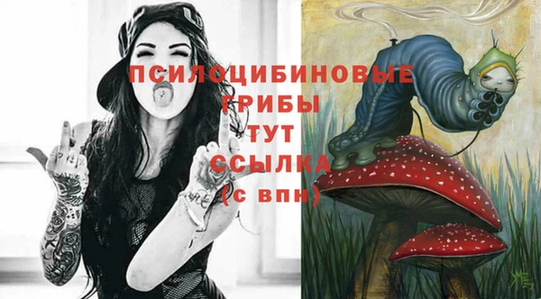 бошки Гусиноозёрск