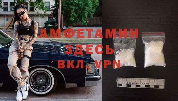ГАЛЛЮЦИНОГЕННЫЕ ГРИБЫ Гусь-Хрустальный