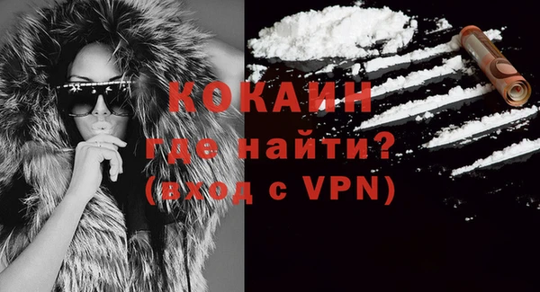 ГАЛЛЮЦИНОГЕННЫЕ ГРИБЫ Гусь-Хрустальный
