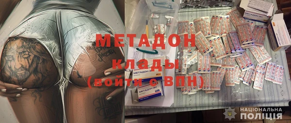 ГАЛЛЮЦИНОГЕННЫЕ ГРИБЫ Гусь-Хрустальный