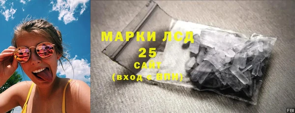 ГАЛЛЮЦИНОГЕННЫЕ ГРИБЫ Гусь-Хрустальный