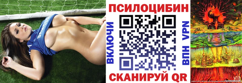 мега зеркало  Оренбург  Галлюциногенные грибы Psilocybe 